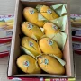 MANGO GIFT BOX 2.5Kg