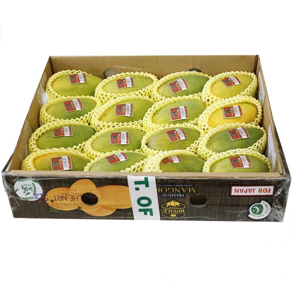 15 MANGO BOXES CHAUNSA FREE SHIPPING (WHOLESALE RATE)