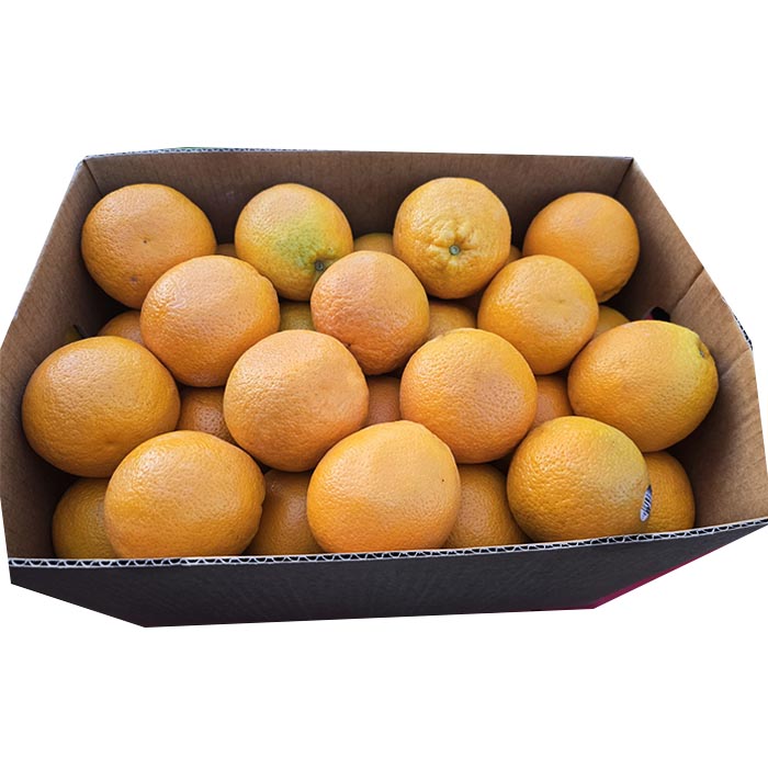 Australian mango Count 56