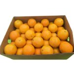 Australian mango Count 136